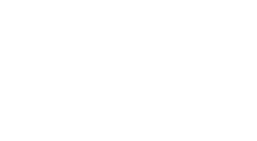 Logo Ronyn Branco.png